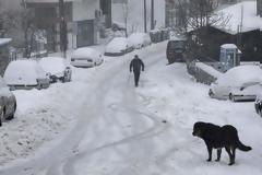 Μάχη με τα χιόνια σε όλη την Ελλάδα: Πού απαγορεύεται η κυκλοφορία και πού χρειάζονται αλυσίδες