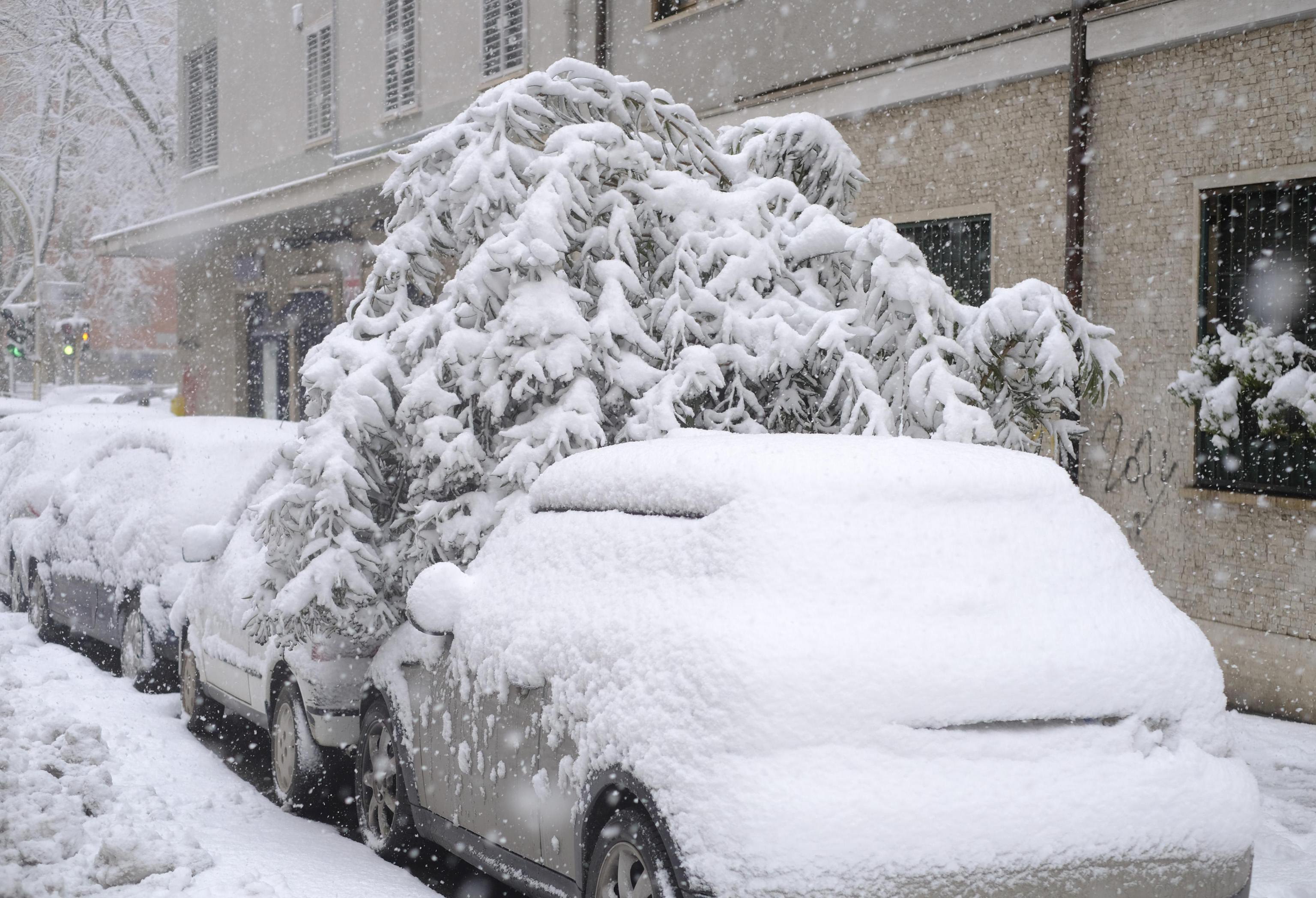 Φωτογραφίες: Η σφοδρότερη χιονόπτωση των τελευταίων 6 ετών στη Ρώμη - Φωτογραφία 3