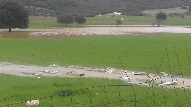 Πλημμύρισαν τα χωράφια στον ΑΕΤΟ Ξηρομέρου από την κακοκαιρία! - Φωτογραφία 7
