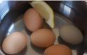 Βράζει αυγά και ρίχνει μέσα μια φέτα λεμόνι - Ο λόγος; Πανέξυπνος! [video]
