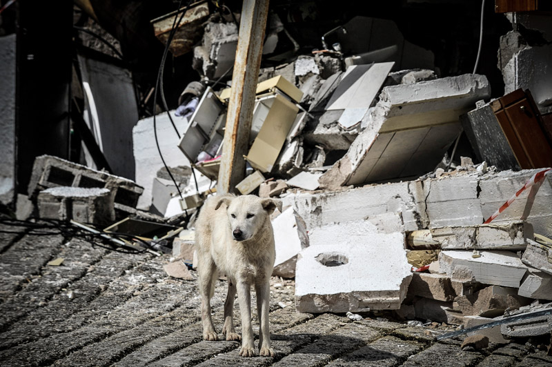 Πιαλεία Τρικάλων: Αφήνουν τα σπίτια τους που καταρρέουν από τις κατολισθήσεις - Φωτογραφία 6