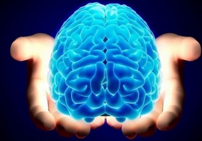 ΑΠΙΣΤΕΥΤΟ: Έφτιαξαν ανθρώπινο εγκέφαλο σε εργαστήριο - Φωτογραφία 1