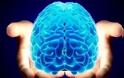 ΑΠΙΣΤΕΥΤΟ: Έφτιαξαν ανθρώπινο εγκέφαλο σε εργαστήριο