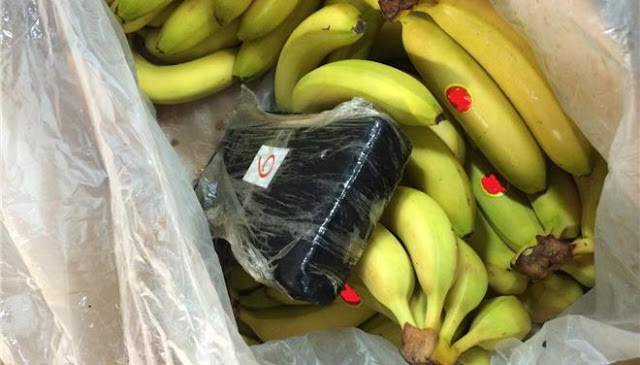 Αλβανία: Είχαν κρύψει 613 κιλά κοκαΐνης σε κοντέινερ με μπανάνες - Φωτογραφία 1