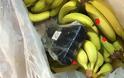 Αλβανία: Είχαν κρύψει 613 κιλά κοκαΐνης σε κοντέινερ με μπανάνες