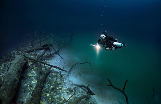 Βούτηξε στα 30 μέτρα μιας υποθαλάσσιας σπηλιάς, αλλά αυτό που ανακάλυψε…[photos] - Φωτογραφία 2