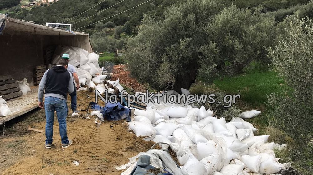 Φωκίδα: Ντεραπάρισε Νταλίκα στον Άγιο Νικόλαο [photos] - Φωτογραφία 6