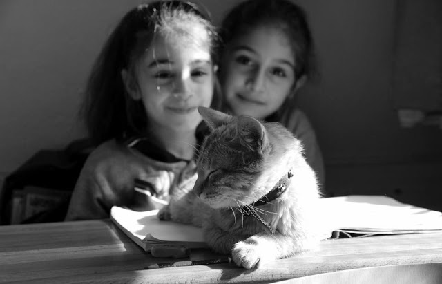 Αυτός ο γάτος υιοθετήθηκε από την τρίτη τάξη δημοτικού της Σμύρνης και κάνει μάθημα μαζί με τα παιδιά - Φωτογραφία 6