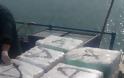 Κρήτη: 15 εκατ. ευρώ η αξία της “σοκολάτας” που μετέφερε το αλιευτικό στην Ιεράπετρα [photos+video] - Φωτογραφία 2