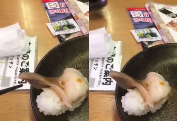 Μετά από αυτό δεν θα ξαναφάτε σούσι – Πελάτης έμεινε κόκκαλο όταν είδε στο πιάτο του να... [video] - Φωτογραφία 1