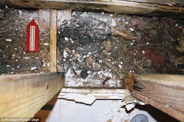 Γυναίκα πέθανε εγκλωβισμένη στον τοίχο του σπιτιού της και βρήκαν τον σκελετό της τρία χρόνια μετά - Φωτογραφία 3