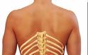 Ο πόνος στην πλάτη μπορεί να οφείλεται στους νεφρούς; Γνωρίζετε που βρίσκονται οι νεφροί; Ποια η θέση των νεφρών - Φωτογραφία 2