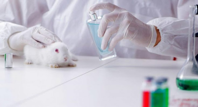 Δράση ενάντια στις δοκιμές καλλυντικών σε ζώα είναι έτοιμη να αναλάβει η ΕΕ - Φωτογραφία 1