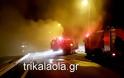 Πύρινη κόλαση: Φορτηγό λαμπάδιασε στην Ε.Ο. Λάρισας-Τρικάλων [photos+video] - Φωτογραφία 8