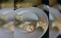 Φοιτητής καταγγέλλει ότι βρήκε... σύρμα στο ψωμί στην Εστία του Πανεπιστημίου Πατρών [photo] - Φωτογραφία 1