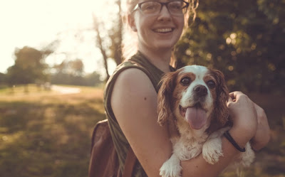 Yay days: Όταν ο εργοδότης σού δίνει άδεια για να βγεις βόλτα με το σκύλο - Φωτογραφία 1