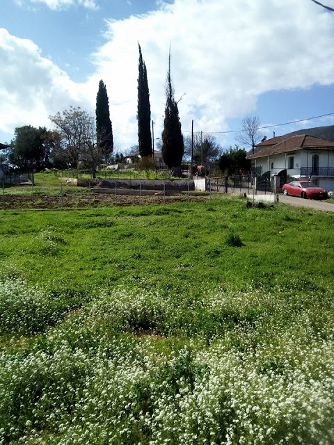 Σήμερα στο Ξηρόμερο μέσα από το φακό - Φωτογραφία 17