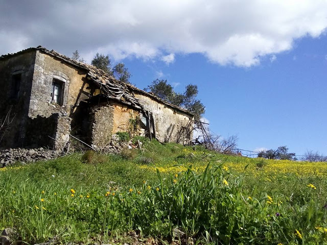 Σήμερα στο Ξηρόμερο μέσα από το φακό - Φωτογραφία 22