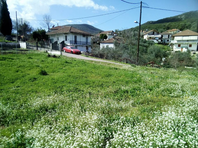 Σήμερα στο Ξηρόμερο μέσα από το φακό - Φωτογραφία 25