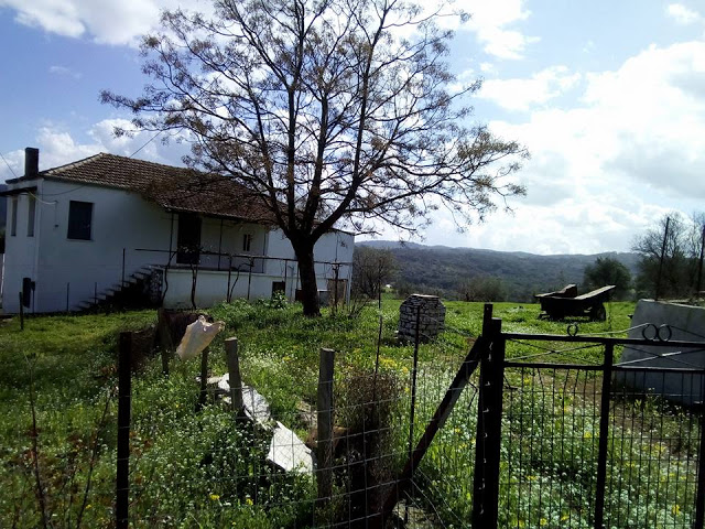 Σήμερα στο Ξηρόμερο μέσα από το φακό - Φωτογραφία 35