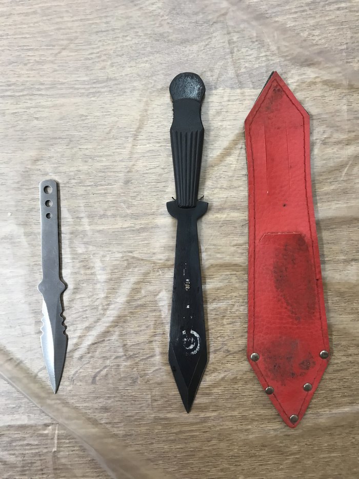 Combat 18: Σοκάρουν οι αποκαλυπτικοί διάλογοι των ακροδεξιών - Φωτογραφία 5