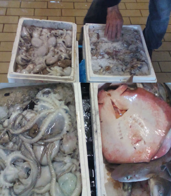 Έφοδος λιμενικών στην Ιχθυόσκαλα Χαλκίδας: Εντόπισαν παράνομα αλιεύματα 57 κιλών (ΦΩΤΟ) - Φωτογραφία 1