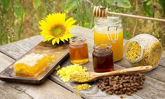 Τι είναι η μελισσοθεραπεία και που χρησιμοποιείτε; Είναι κατάλληλη για εσάς; - Φωτογραφία 2