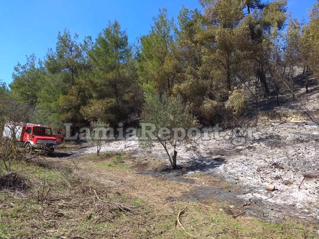 Φθιώτιδα: Πυρκαγιά σε δασική έκταση [photos] - Φωτογραφία 4