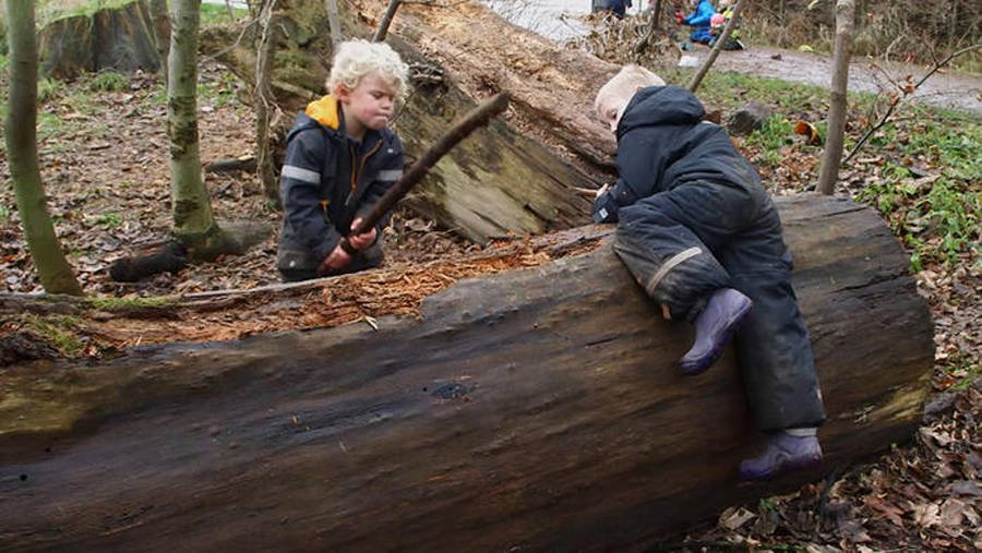 Το εναλλακτικό νηπιαγωγείο όπου τα παιδιά περιφέρονται στο δάσος και χρησιμοποιούν μαχαίρια [video] - Φωτογραφία 2