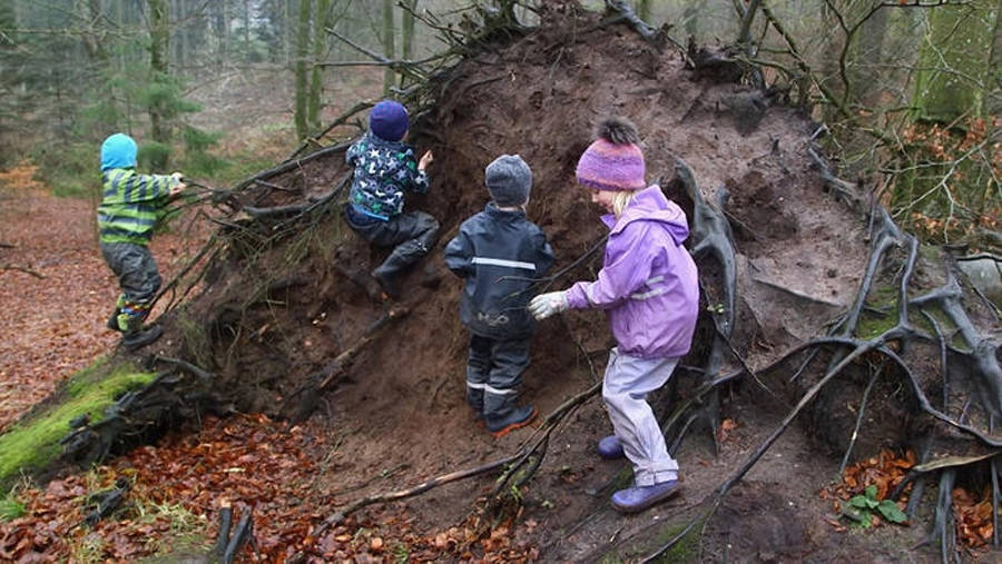 Το εναλλακτικό νηπιαγωγείο όπου τα παιδιά περιφέρονται στο δάσος και χρησιμοποιούν μαχαίρια [video] - Φωτογραφία 3