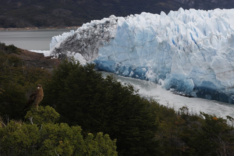 Παταγονία Αργεντινή: Καταρρέει ο τεράστιος παγετώνας Perito Moreno - Φωτογραφία 3