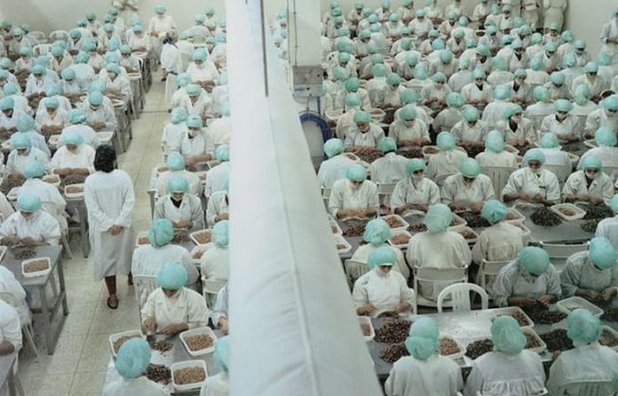 Το απάνθρωπο εργοστάσιο γαρίδας όπου οι γυναίκες δεν μπορούν να μιλήσουν - Φωτογραφία 1