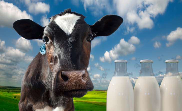 Γάλατα φυτικής προέλευσης: Τα υπέρ, τα κατά & η θρεπτική αξία τους - Φωτογραφία 4