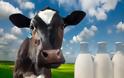 Γάλατα φυτικής προέλευσης: Τα υπέρ, τα κατά και η θρεπτική αξία τους - Φωτογραφία 4