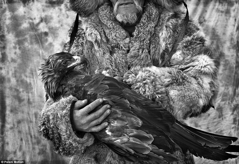 Εκπληκτικές φωτογραφίες από την αρχαία τέχνη των κυνηγών με αετό στο Καζακστάν - Φωτογραφία 11