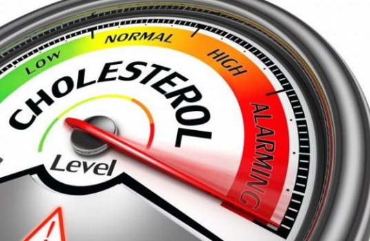 Υψηλή χοληστερόλη: Καλή ή κακή; Τι δείχνει νέα μελέτη; - Φωτογραφία 1