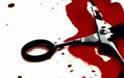 «Σκότωσα τον διάβολο» φώναζε ο 55χρονος που κατακρεούργησε την σύντροφό του στην Σταμάτα