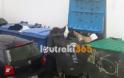 Σοκαριστικές εικόνες στο Λουτράκι: Ψάχνουν στα σκουπίδια για λίγο φαγητό [video] - Φωτογραφία 3