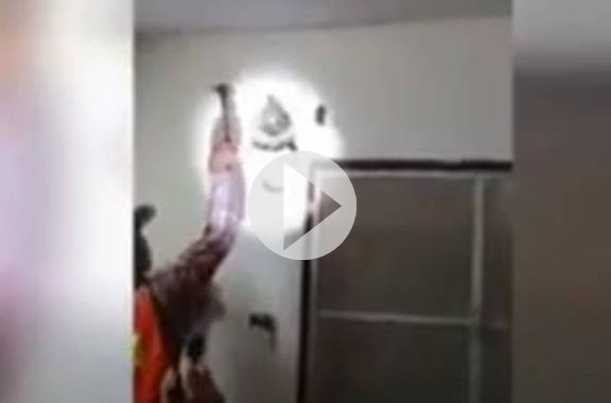 Ανατριχίλα: Πύθωνας 4,5 μέτρων κρυβόταν μέσα σε τοίχο σπιτιού! [video] - Φωτογραφία 1
