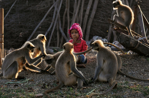 Ο σύγχρονος... Μόγλης είναι μόλις δύο ετών και κάνει παρέα μόνο με μαϊμούδες - Φωτογραφία 2