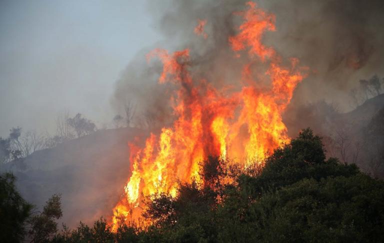 Φωτιές: Καίγονται Κρήτη, Ηλεία, Κιάτο και Αυλώνας! - Φωτογραφία 1