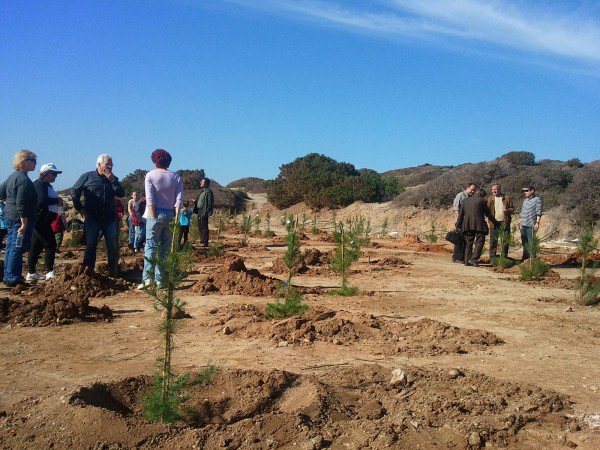 Δροσιά: Κλοπές δέντρων καταγγέλει ο Δήμος Χαλκιδέων - Φωτογραφία 1