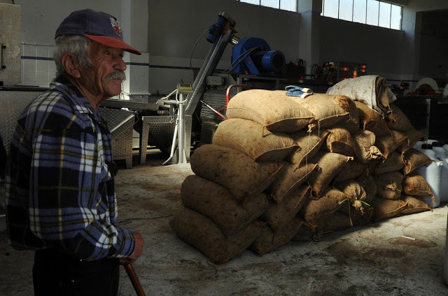 Σε ποιους «εργαζόμενους» συνταξιούχους κόβεται η σύνταξη - Ποιοι αγρότες επηρεάζονται - Φωτογραφία 1
