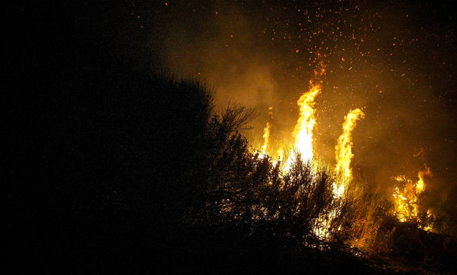 ΤΩΡΑ - Μάχη με τις φλόγες δίνει η Πυροσβεστική σε πολλές περιοχές των Χανίων - Φωτογραφία 1