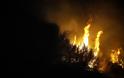 ΤΩΡΑ - Μάχη με τις φλόγες δίνει η Πυροσβεστική σε πολλές περιοχές των Χανίων