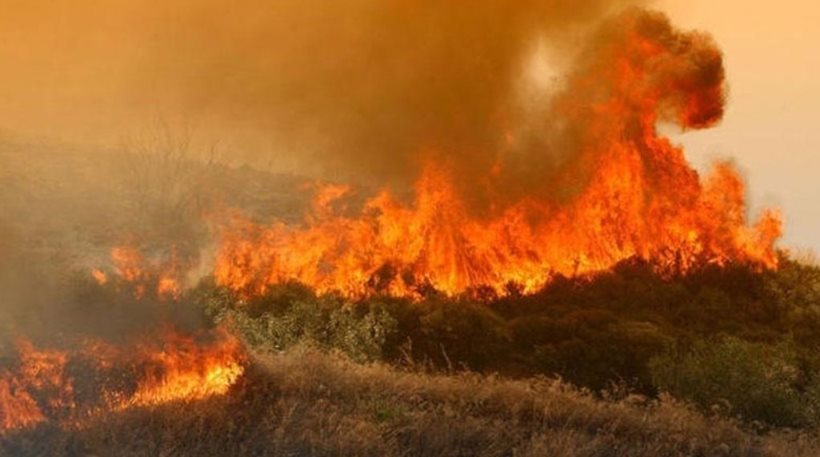 Κρήτη: Μάχη με τις φλόγες για τους πυροσβέστες σε πολλαπλά πύρινα μέτωπα - Φωτογραφία 1