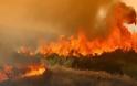 Κρήτη: Μάχη με τις φλόγες για τους πυροσβέστες σε πολλαπλά πύρινα μέτωπα