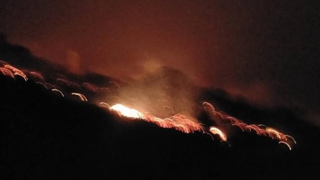 Πάνω από 20 πυρκαγιές στην Κρήτη - Φωτογραφία 1