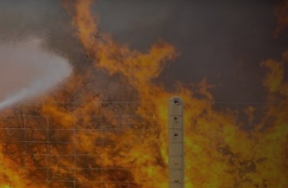 Κρήτη: Απομάκρυναν την φωτιά από το χωριό οι πυροσβέστες - Φωτογραφία 1