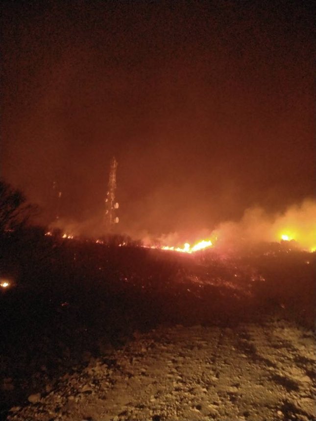 Κρήτη: Απομάκρυναν την φωτιά από το χωριό οι πυροσβέστες - Φωτογραφία 2